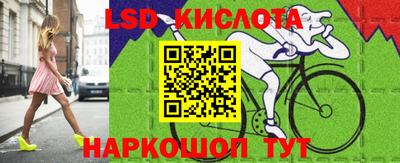 spice Бийск