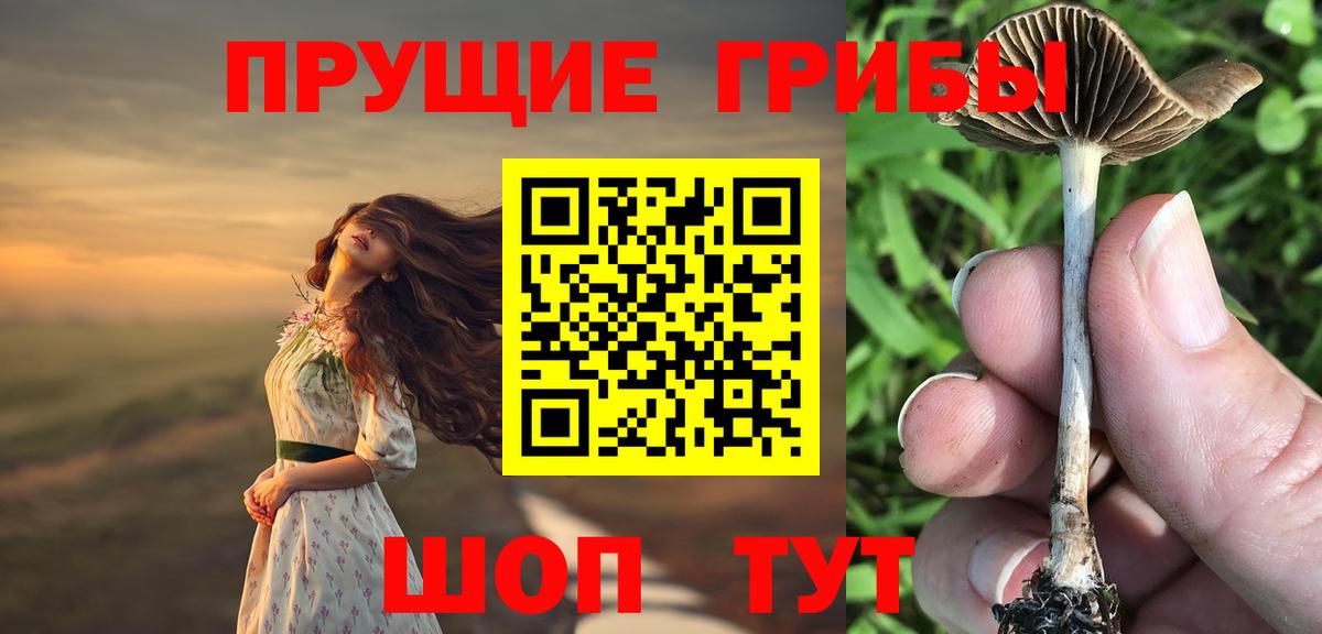 Каменск-Шахтинский  Псилоцибиновые грибы Psilocybine cubensis  Вход с VPN 